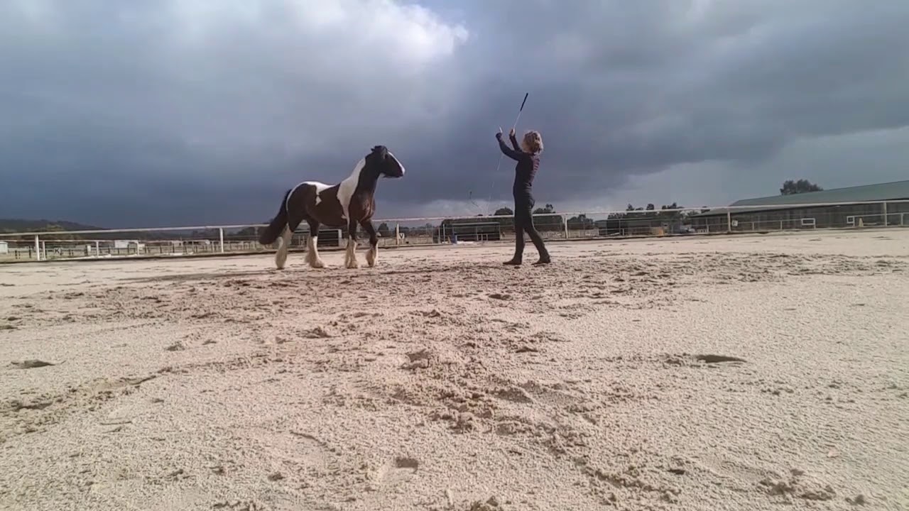 Big Arena Liberty with my Gypsy Cob