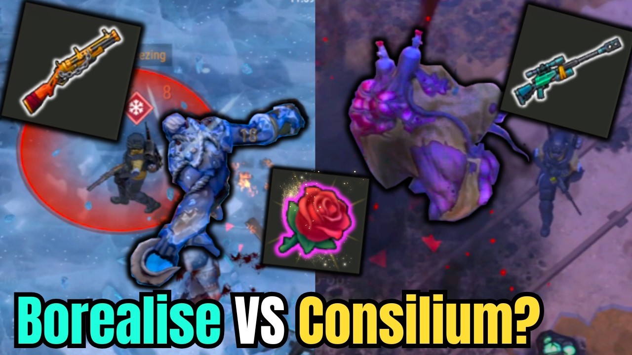 Valentine’s Rush Roses 🌹 | Borealis or Consilium Better?