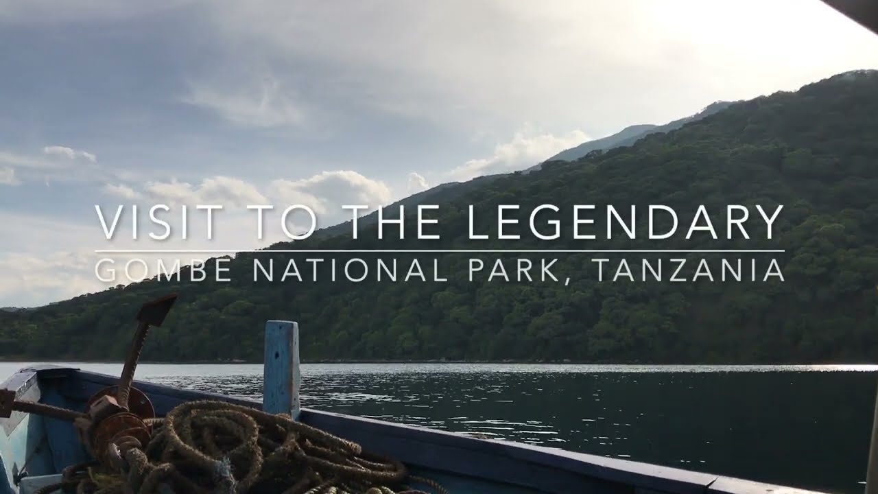 WORLD CLASS! GOMBE NATIONAL PARK - TANZANIA - LEGENDARY JANE GOODALL HOUSE! STUNNING CHIMP TREKKING