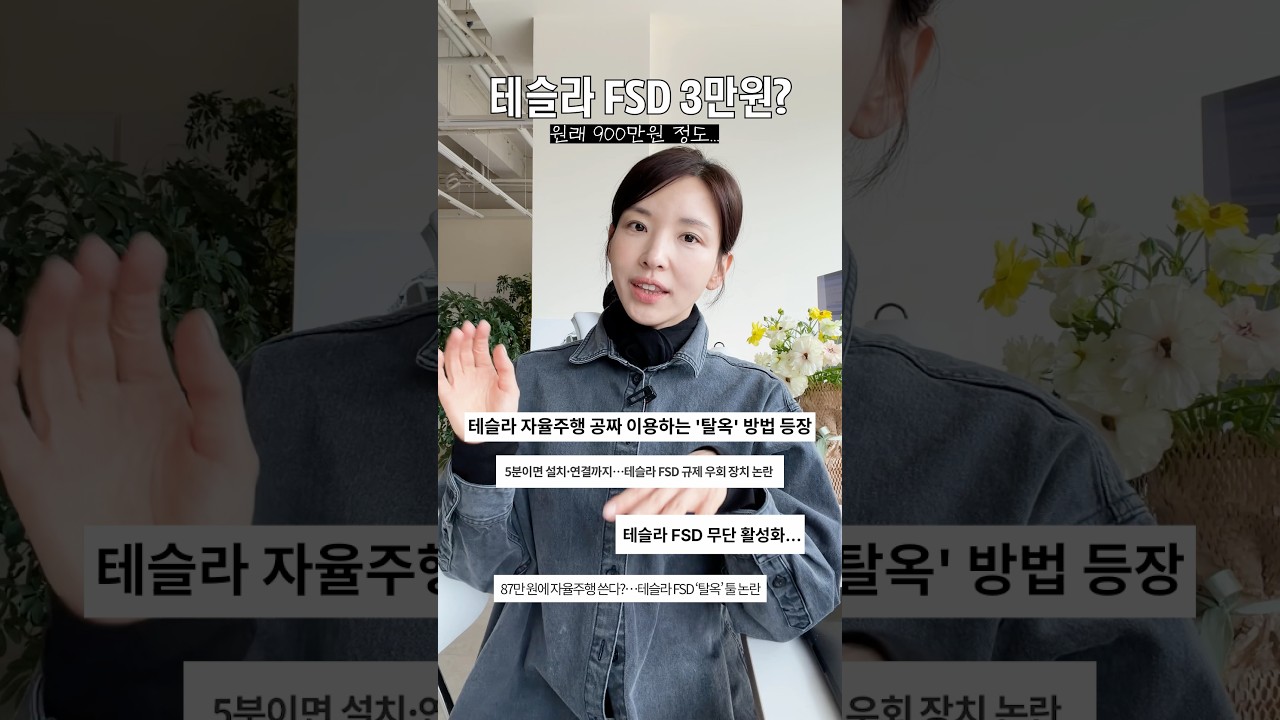 테슬라 FSD 3만원에 샀다가 감옥행?