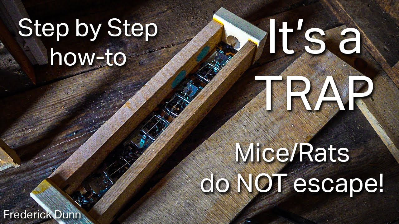 The BEST Mouse or RAT trap system that you can make yourself. Voles are easily controlled too.
