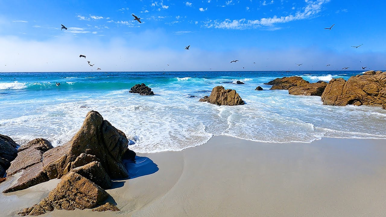 Ocean Meditation: Escape to the California Coast