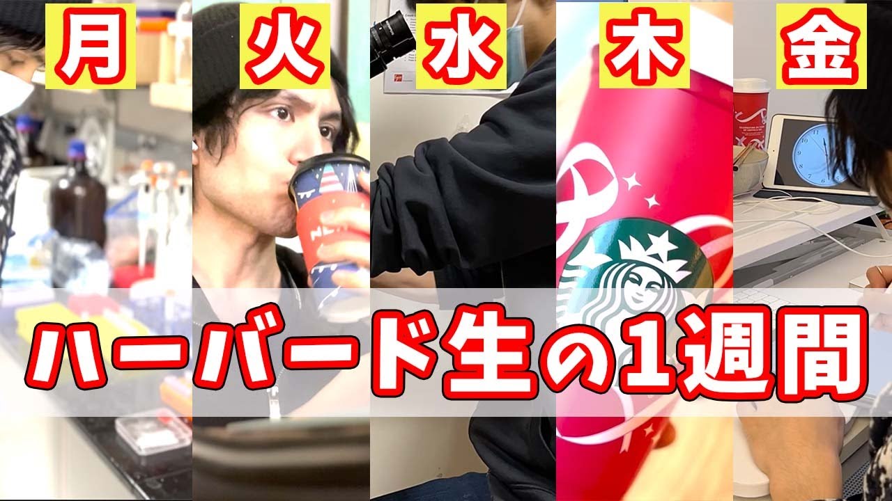 【密着1週間】アメリカ理系大学院生のモチベ爆上げ留学ルーティン🔥【博士課程】