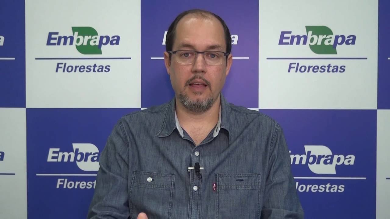 Controle biológico do percevejo bronzeado do eucalipto - Florestas Online