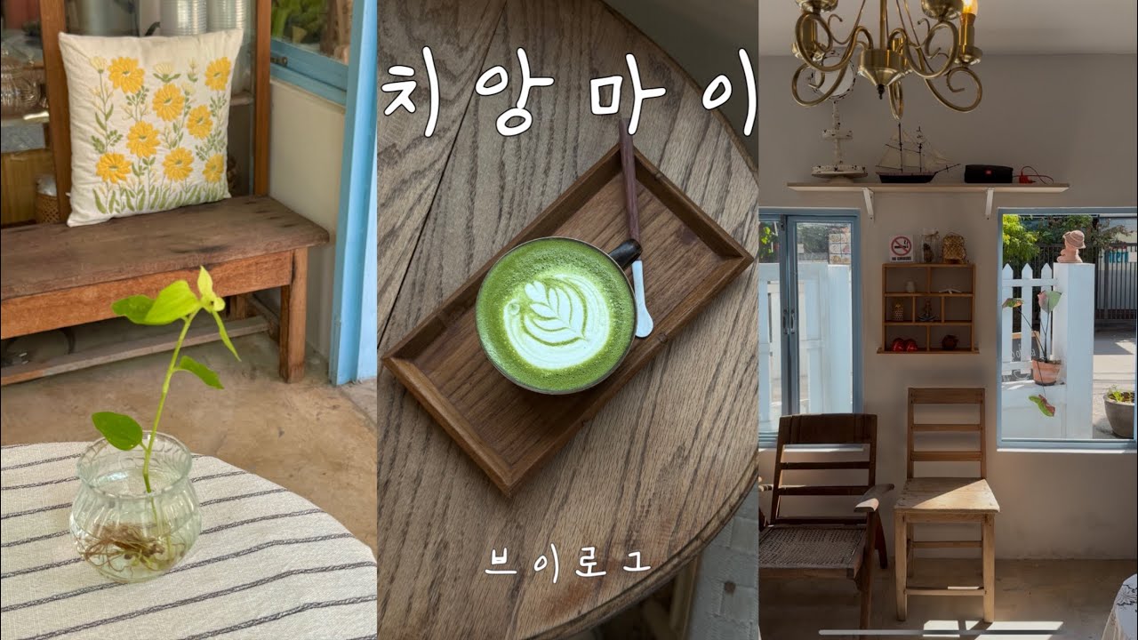 🇹🇭치앙마이 브이로그_Ep.1 | 핵심만 콕콕! N년차 태국 짬빠러의 나혼자 치앙마이 여행 | 치앙마이 맛집, 카페 추천 | 1박 5만원대 초갓성비 호텔 
