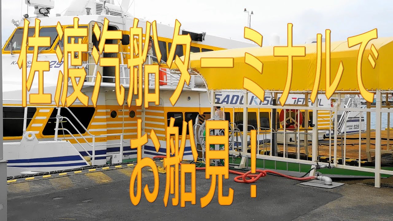 お船見！2017年6月26日・佐渡汽船ターミナルで夕刻のひと時。
