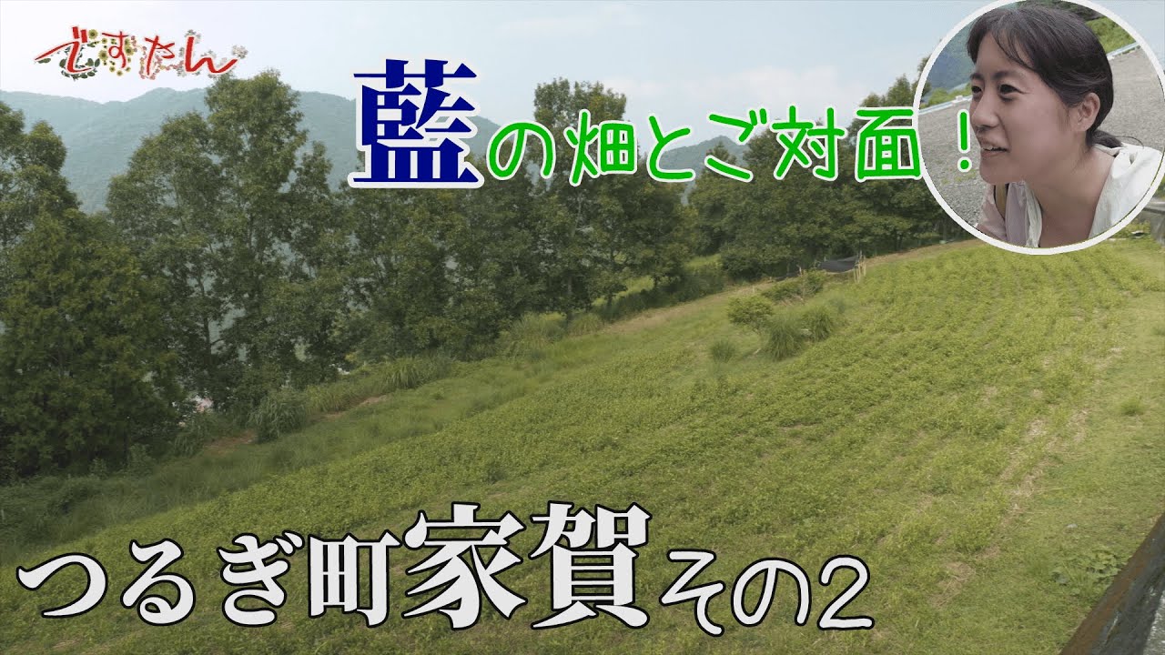 ですやん　第71話　つるぎ町家賀その２
