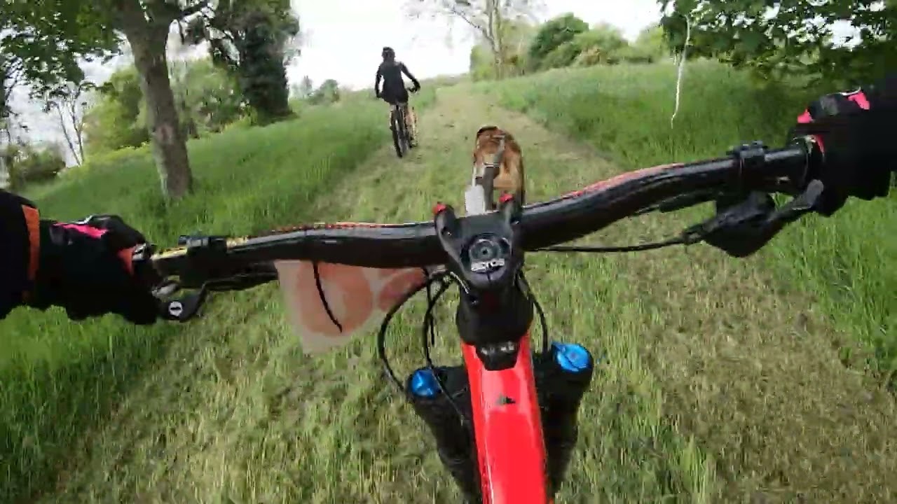 Course cani-VTT CCSASG cercle cynophile saint amand saint georges