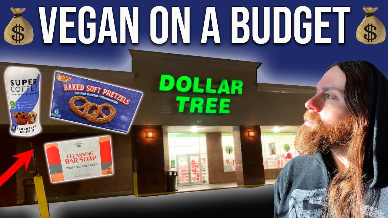 Vegan On A BUDGET at DOLLAR TREE
