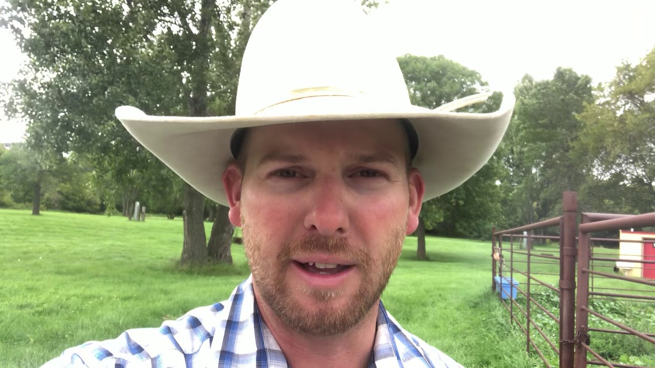 #MuleTipTuesday- The two hardest lessons to learn in Mulemanship