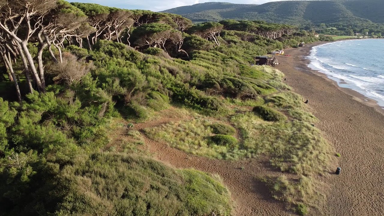Baratti a Maggio 2024