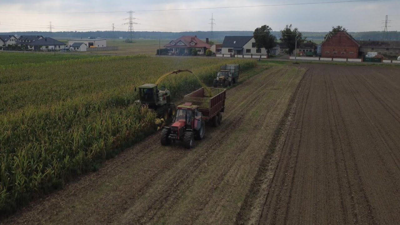 KOSZENIE KUKURYDZY NA KISZONKĘ URSUS 1614 x3 URSUS 904 JOHN DEERE 6910 ZETOR PROXIMA