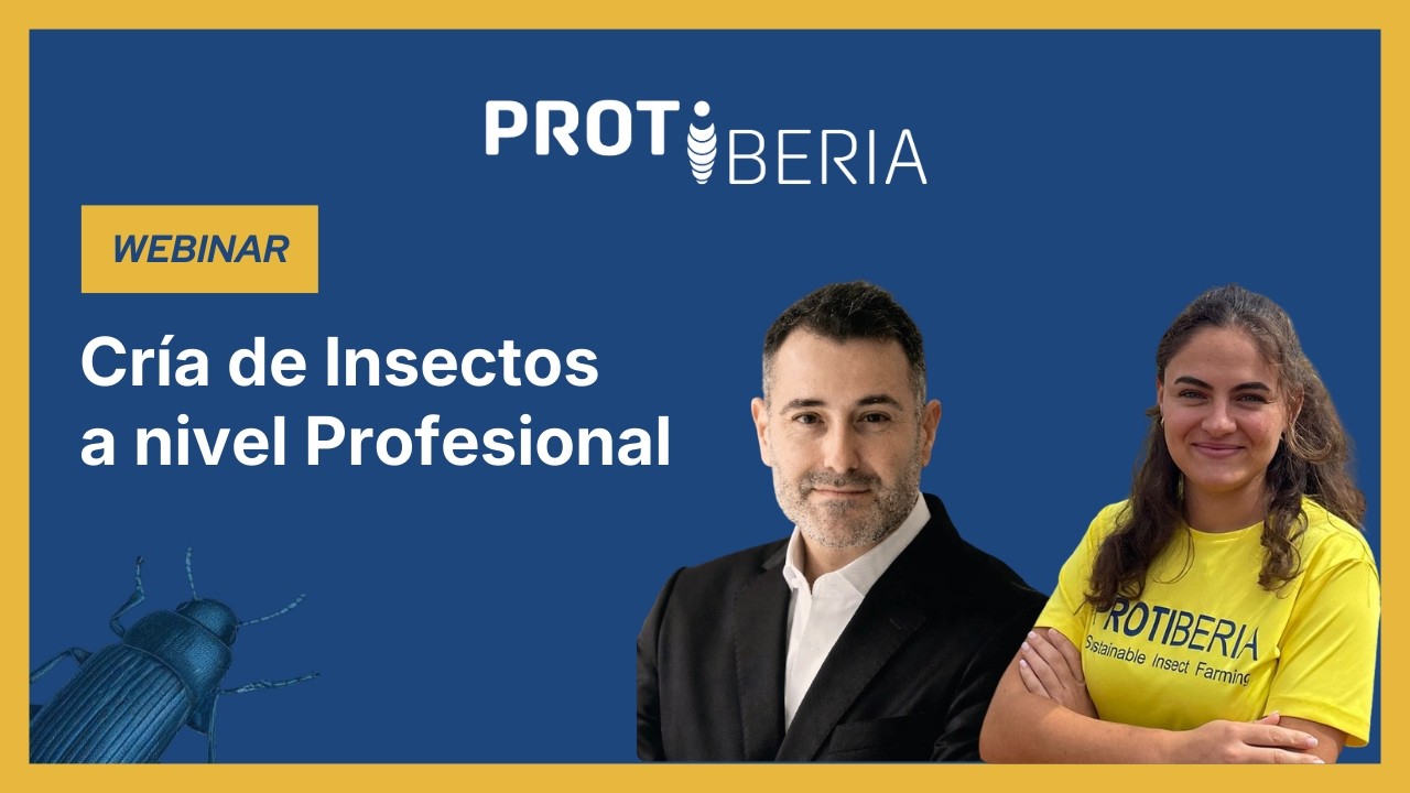 Cómo montar una granja de insectos escalable: El modelo de especialización