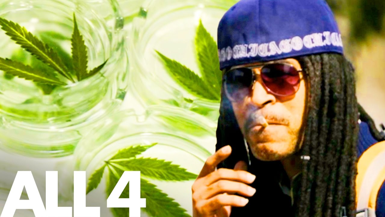 Weed Journalism With the Cannabist | The Highs And Lows Of The Weed Business