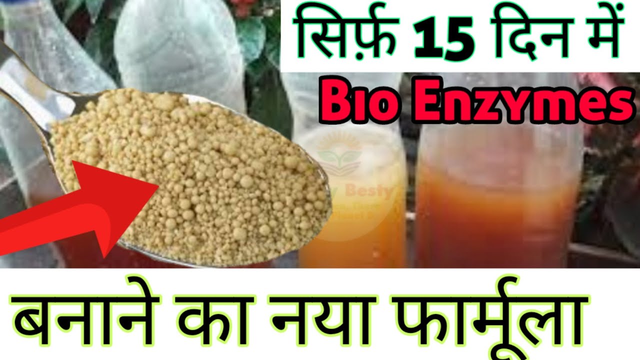 अब 3 महीने इंतजार ख़त्म Bio Enzymes in Just 15 Days 👍Quick method #bioenzyme