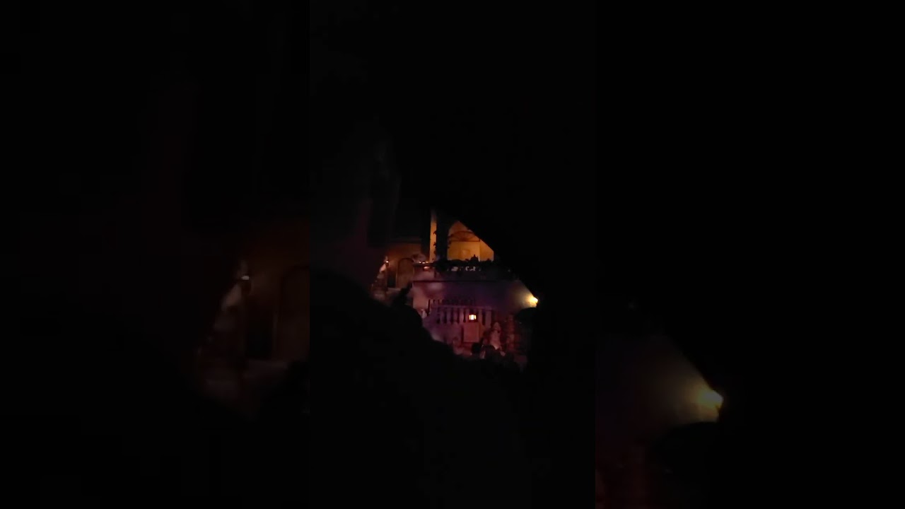 Pirates of the Caribbean ride Disney! 