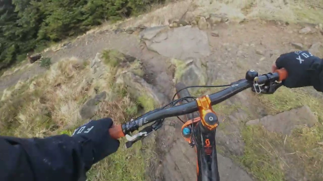 A Ride at Gisburn Forest