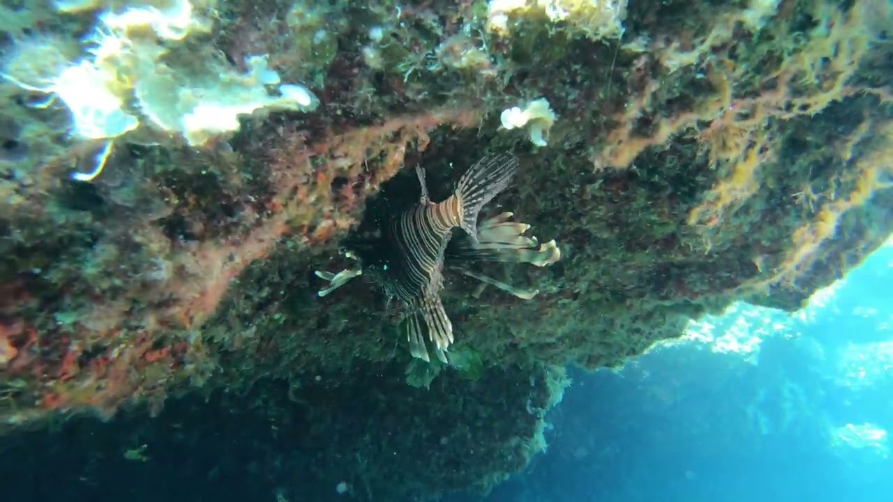 Corfu Agios Georgios