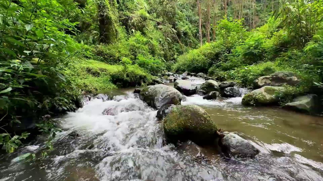 Soothing river sound under moonlit forest sky helping deeper deep sleep continue without stress