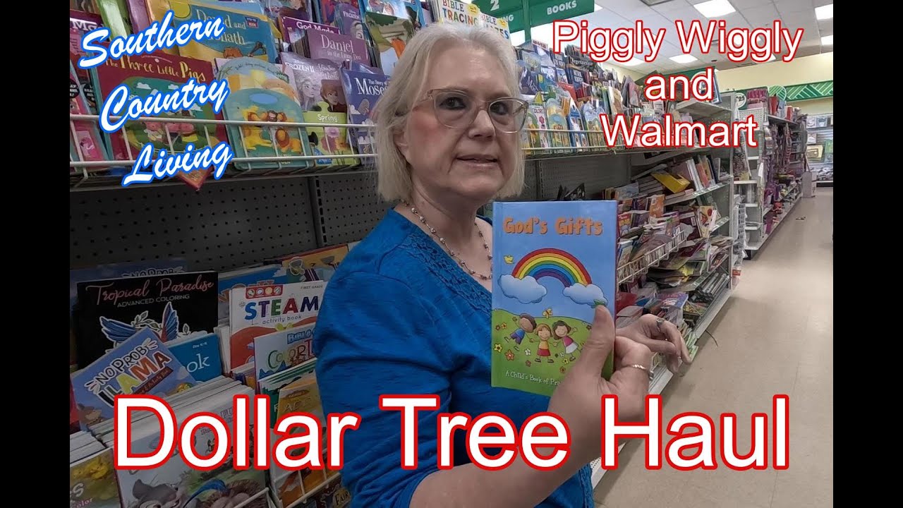Dollar Tree Haul --  Walmart and Piggly Wiggly Shopping Also  --  Recorded Using New Camera