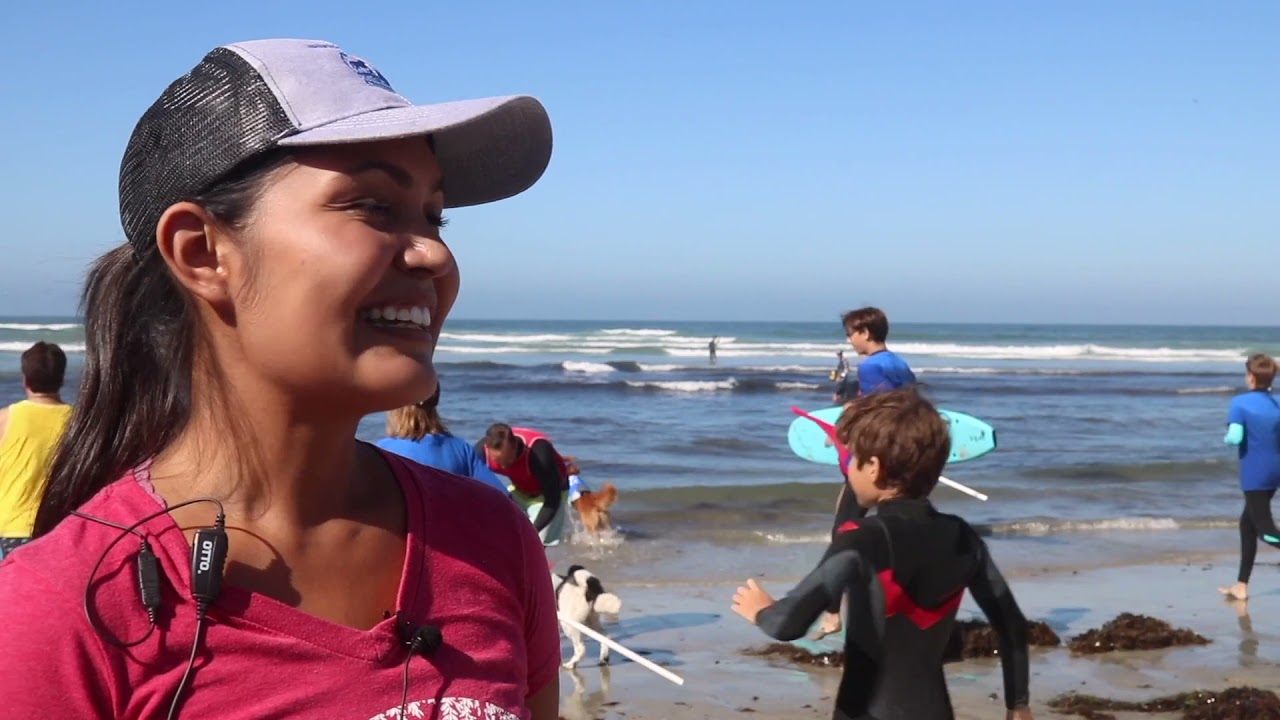 Dog Surf-A-Thon Story