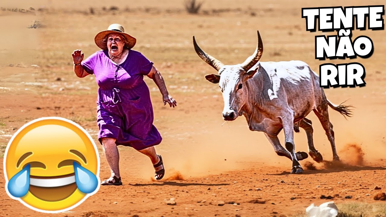 TENTE N&Atilde;O RIR: V&Iacute;DEOS ENGRA&Ccedil;ADOS 2025 E MEMES - #79
