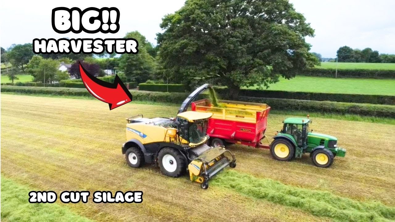 McClean Contracts at 2nd Cut SILAGE 2024!! TIDY OUTFIT!!