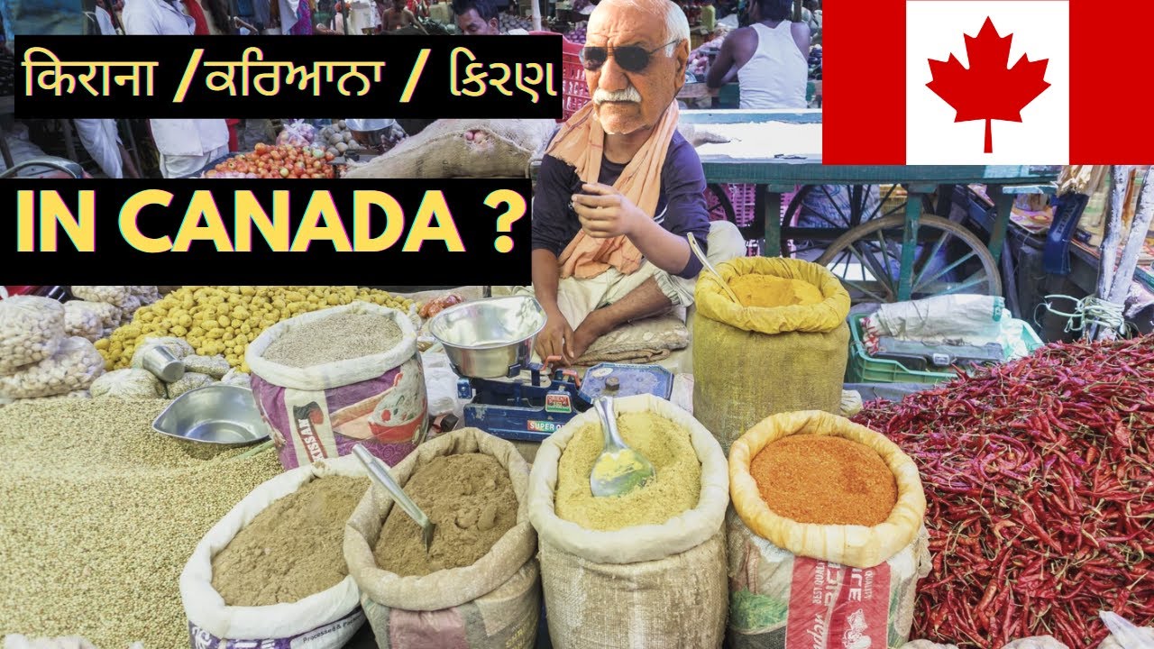 INTERNATIONAL STUDENT GROCERY SHOPPING IN 🇨🇦 CANADA| Buying Khula Saman in Canada | Piyush Canada