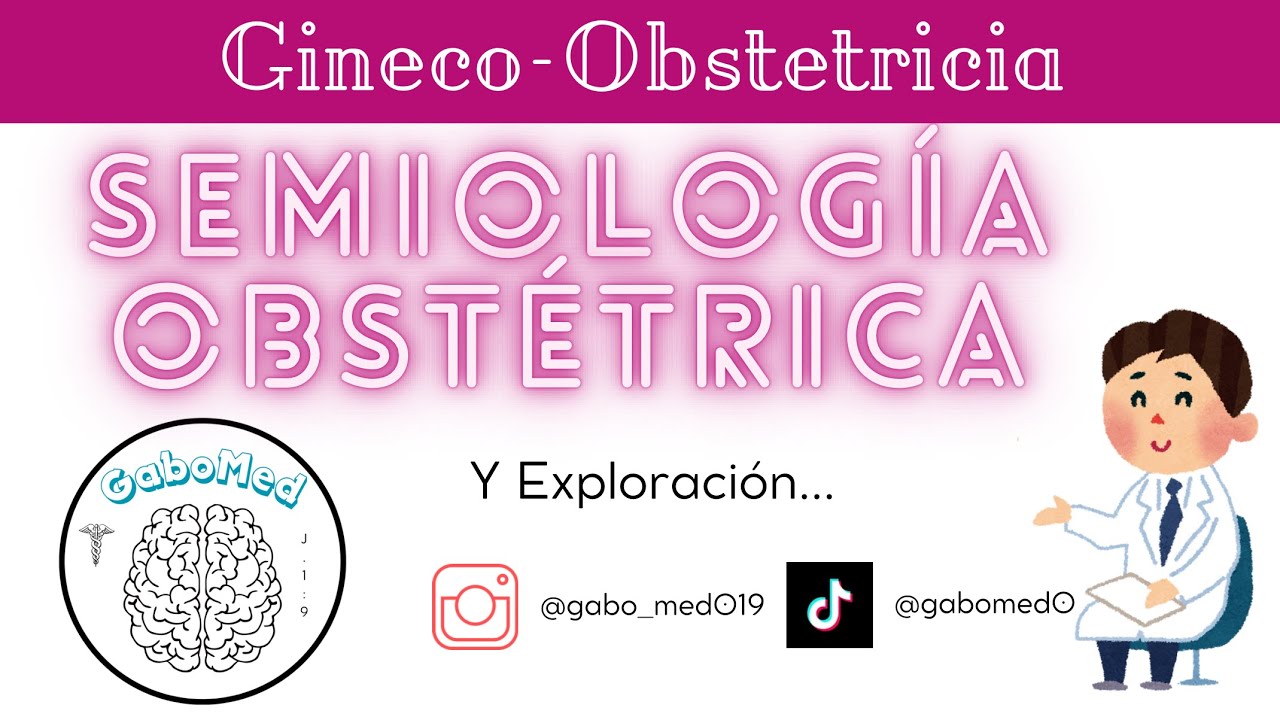 Semiología Y Exploración Obstétrica (1º Visita A Control Prenatal)