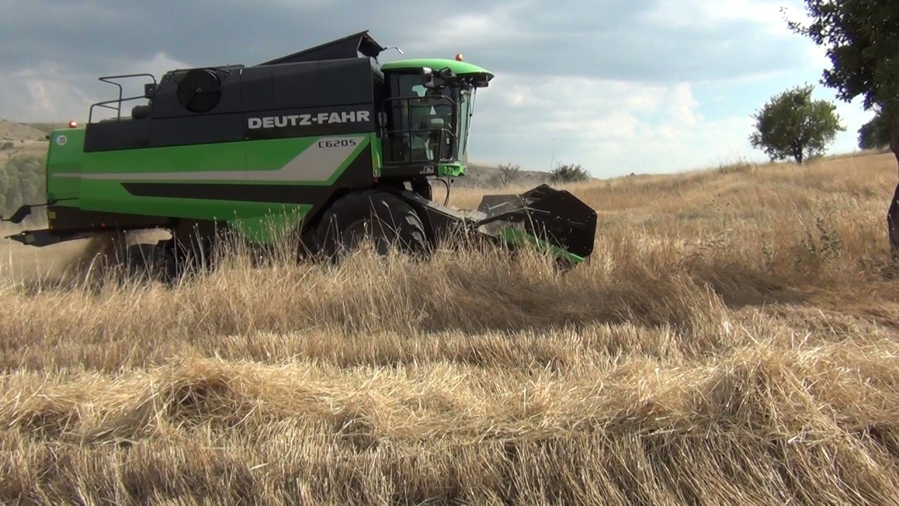 Deutz Fahr C6205 moisson 2016