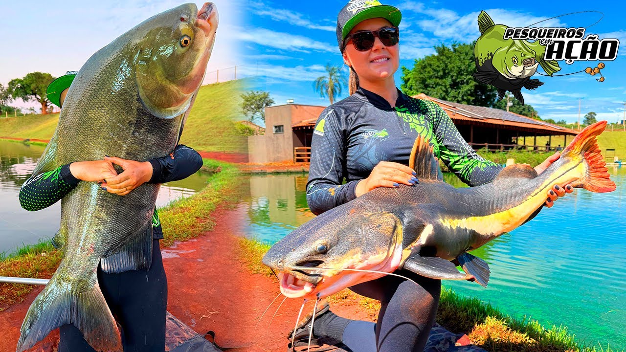 DIAS FRIOS, TRINTADA E MUITOS PEIXES DE COURO NO PRIMAVERA