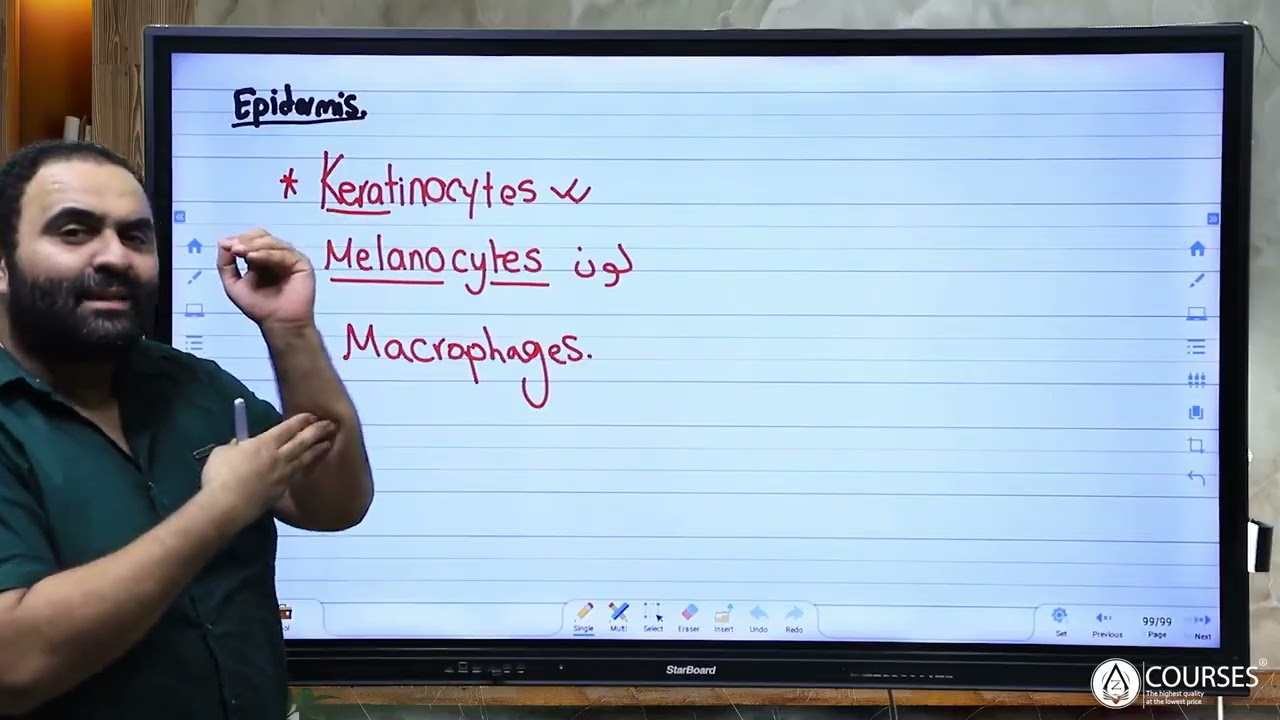 Mnu Histology Skin part 1