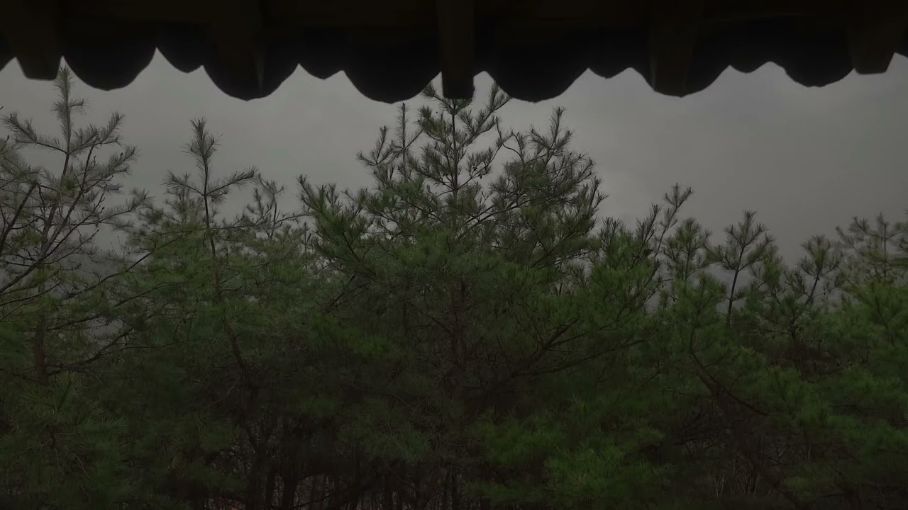 30 minutes of Thunder and Rain Sound for Relaxing