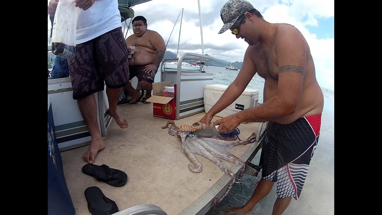 Tako in Kaneohe Bay