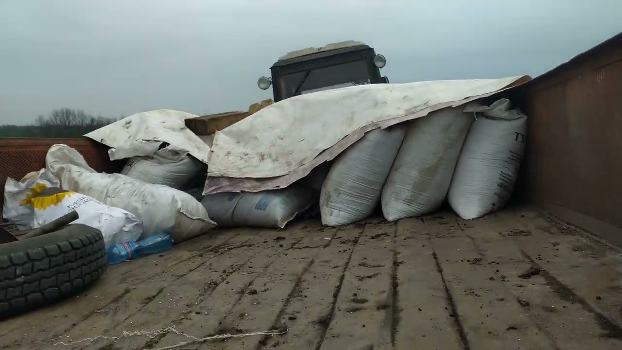 Посів соняшника НЕОМА