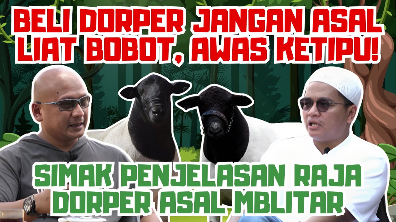 4 CIRI TUBUH DORPER YANG BAGUS (TYPE 5) || Yuk segera gabung grup WhatsApp YIB Farm Berbagi Ilmu 😀🫶🏻