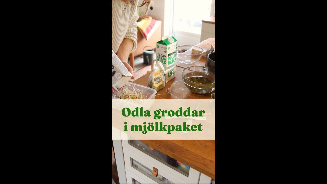 Odla groddar i mj&ouml;lkf&ouml;rpackning - Tr&auml;dg&aring;rdshacks med GardenR