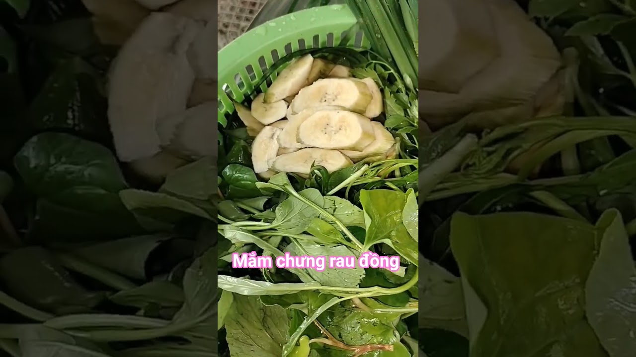 Cơm chiều với m&oacute;n mắm chưng, rau đồng ngoại trồng #monngonmientay #mamchung #raudong