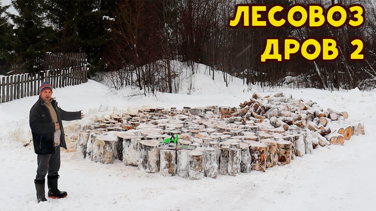 За 2 дня бревна превратил в поленья!