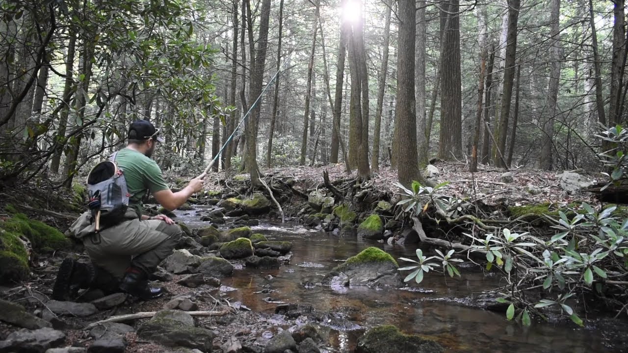 Tenkara Fly Fishing TINY Mountain Stream For Wild Brook Trout