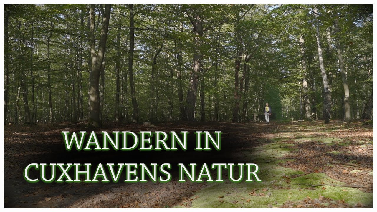 Wandern in Cuxhavens Natur - Ruhe und Entspannung - Audio-visuelle-Entspannung