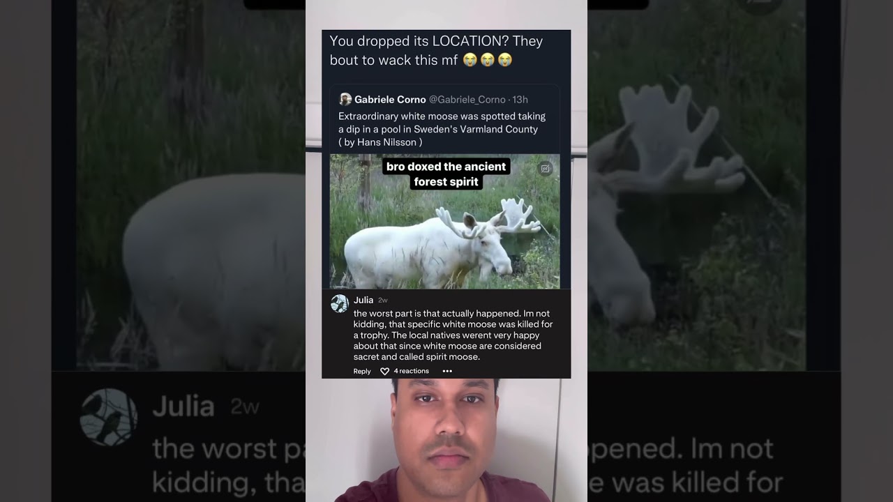 They really doxed a spirit moose like it wasn&rsquo;t sacred. Humanity stays losing side quests.