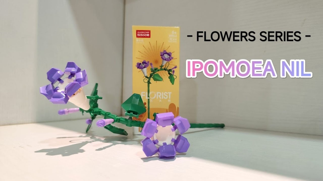 Unboxing & Build Toy Micro Brick Ipomoea Nil Flower/ Mainan Micro Brick Flower series
