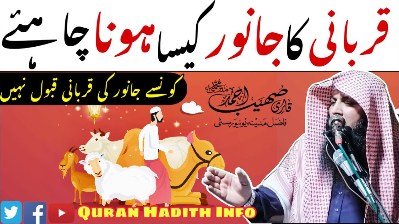 Qurbani Ka Janwar Kaisa Ho || Qari Sohaib Ahmed Meer Muhammadi