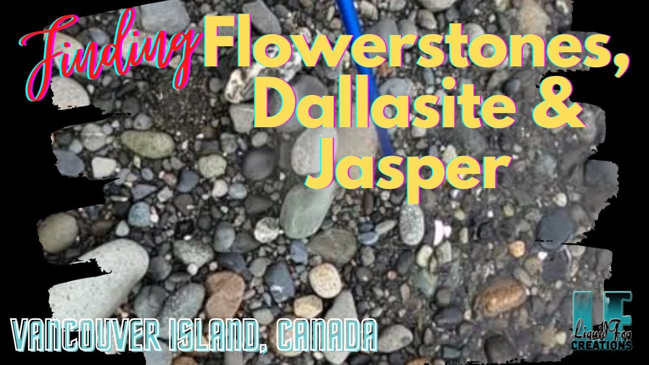 Rockhounding Vancouver Island - finding flowerstones, dallasite and jasper