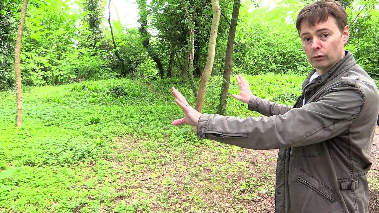 A Date With Time: Dinas Powys Hill Fort