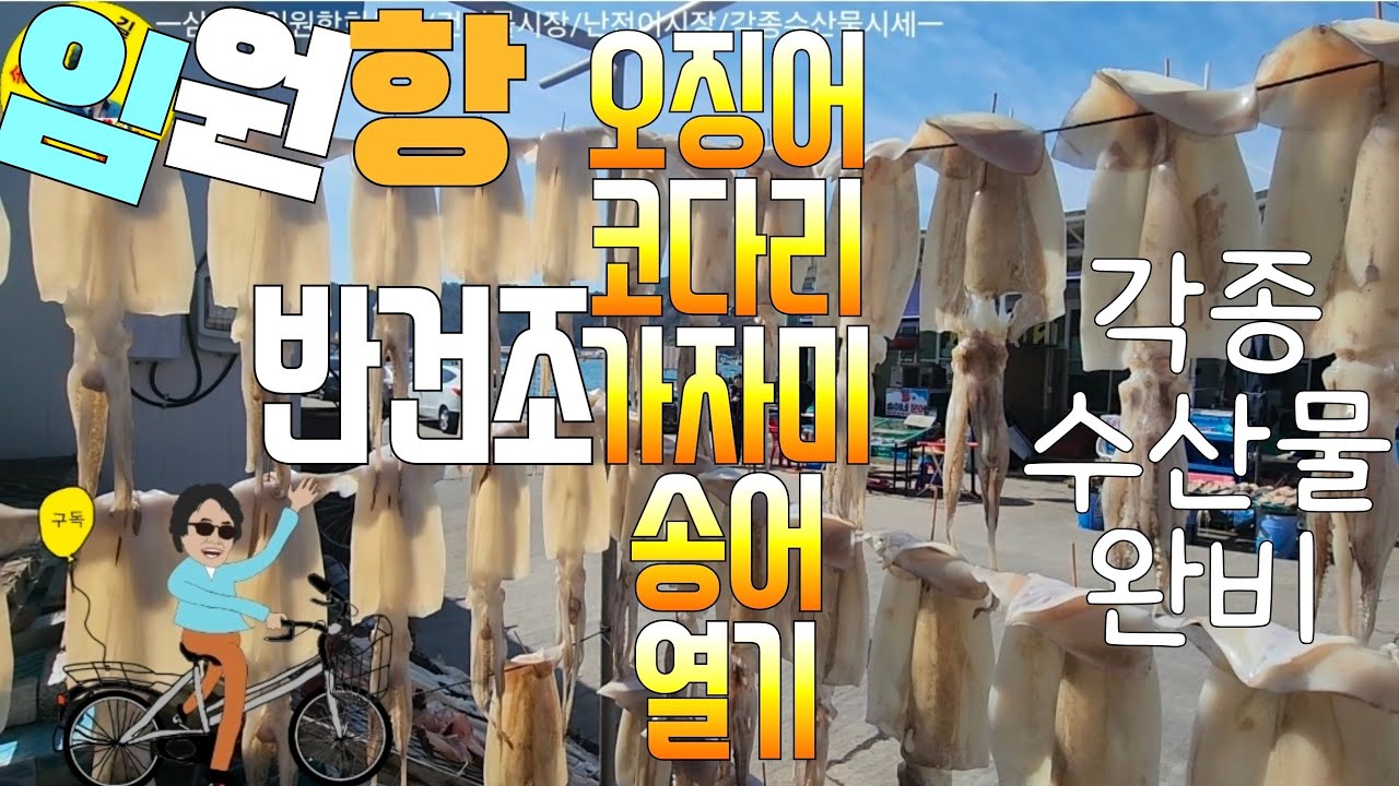 水産市場 삼척시임원항 건어물시장/회센터/난전어시장 각종수산물시세 견문록♡삶2488/Samcheok Imwon port fish market, korea
