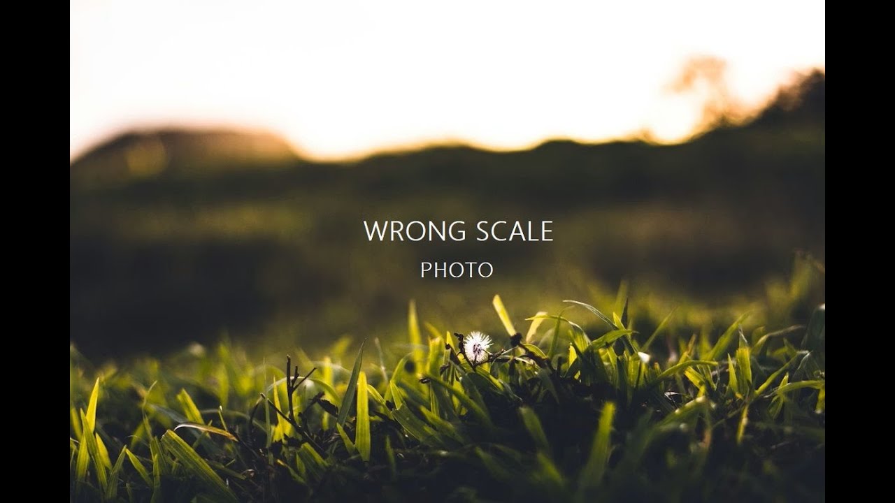 【cover】WRONG SCALE / PHOTO