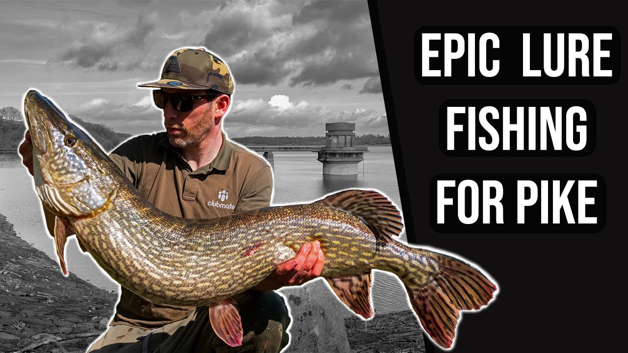 Pike Fishing at Llandegfedd Reservoir