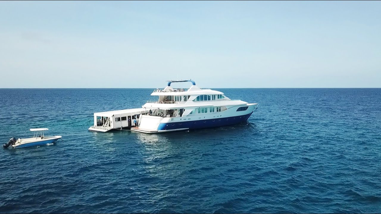 Best of Maldives Highlights - Honors Legacy Liveaboard